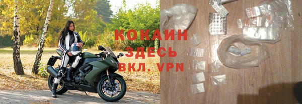 a pvp Бородино