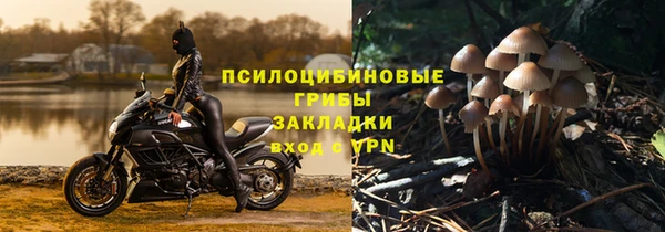 a pvp Богданович