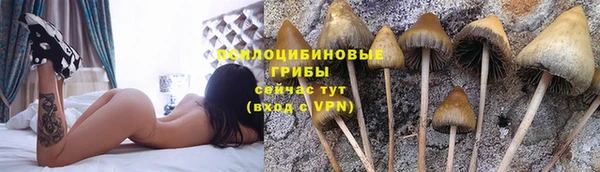 бутират Богородск