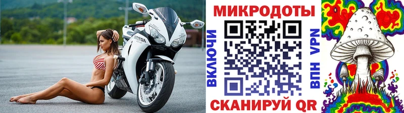 дарнет шоп  Дорогобуж  МЕГА зеркало  Псилоцибиновые грибы мухоморы 